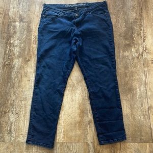 GAP Premium Super Skinny Jeans.  Size 20